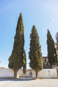 C 1 200x300